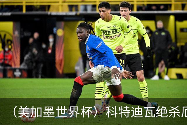 （美加墨世界杯）科特迪瓦绝杀厄瓜多尔 瑞典5:1大胜突尼斯