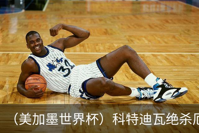（美加墨世界杯）科特迪瓦绝杀厄瓜多尔 瑞典5:1大胜突尼斯